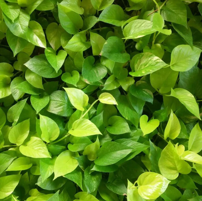 Natalie Rudolph - Founder