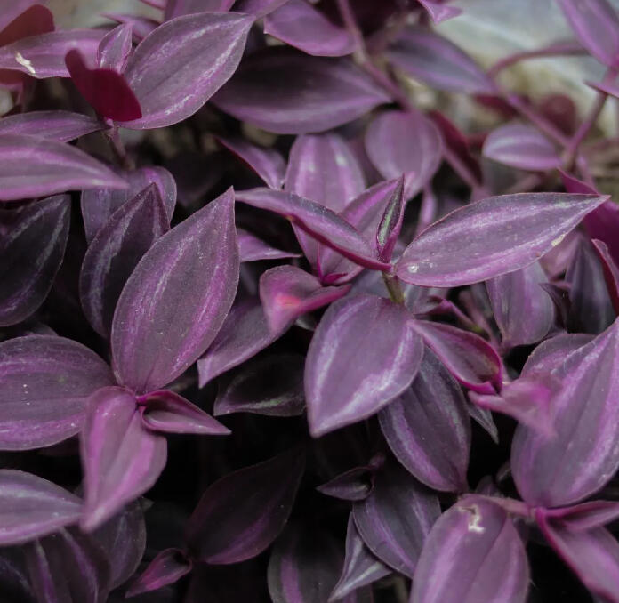 Natalie Rudolph - Founder