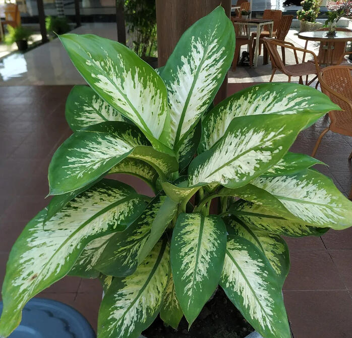 Natalie Rudolph - Founder