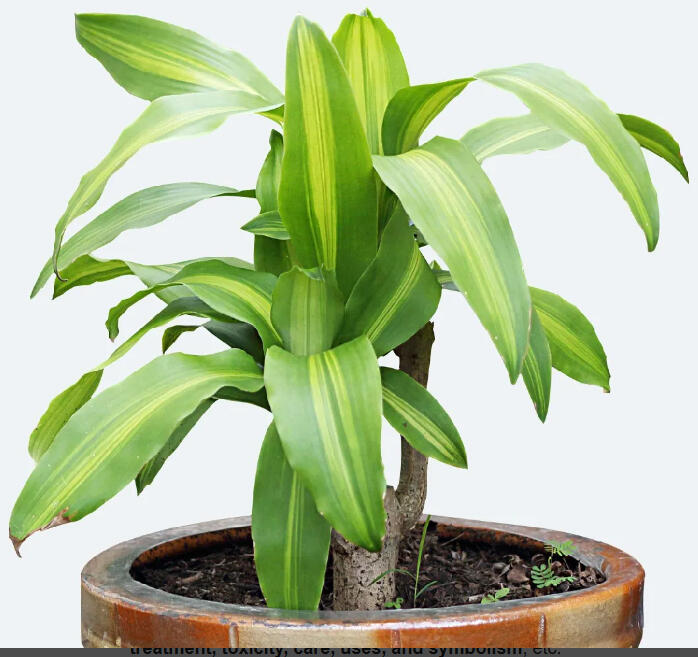 Natalie Rudolph - Founder